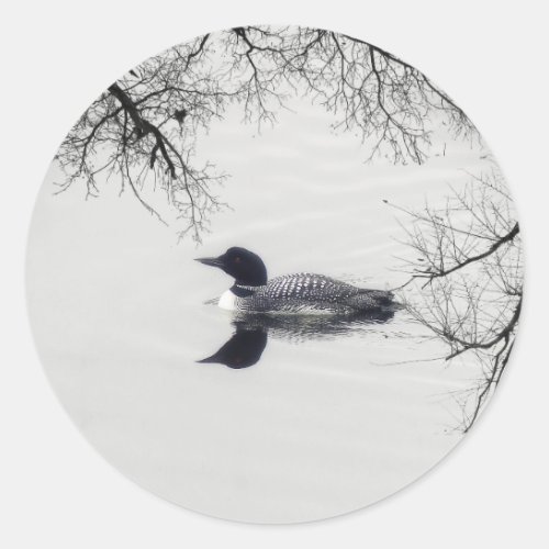 Common Loon Swims in a Northern Lake in Winter Classic Round Sticker