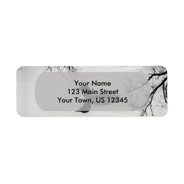 Common Loon Swims in a Northern Lake in Winter Label (Front)