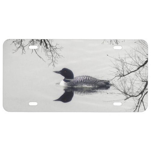 Common Loon Swims in a Northern Lake in Winter License Plate