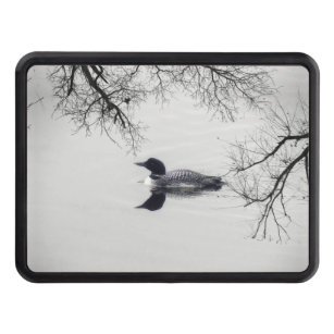 Common Loon Swims in a Northern Lake in Winter Tow Hitch Cover