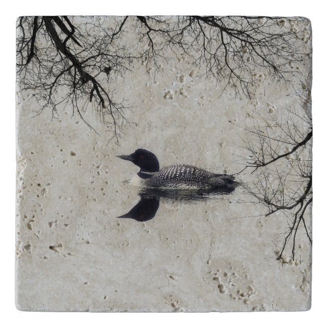 Common Loon Swims in a Northern Lake in Winter Trivet (Front)