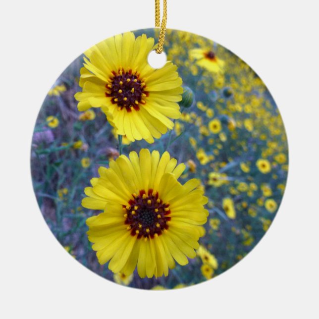 Common Madia Flowers at Sequoia National Park Ceramic Ornament (Front)