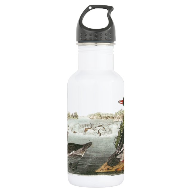 Common Merganser by Audubon Stainless Steel Water Bottle (Front)