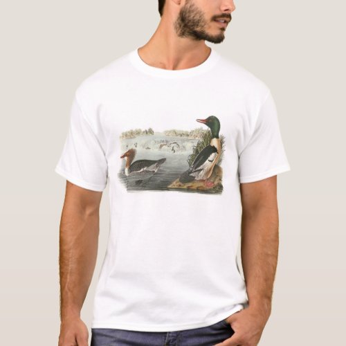 Common Merganser by Audubon T_Shirt