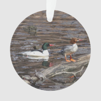 Common Merganser Ornament