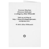 Common Moorhen (Common Gallinule) Cards (Back)