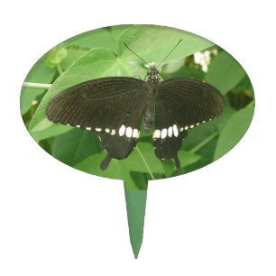 Common Mormon Butterfly Cake Pick