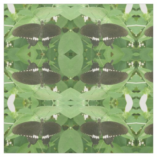 Common Mormon Butterfly Patterned Animal Fabric