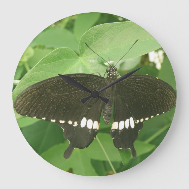 Common Mormon Butterfly Wall Clock (Front)