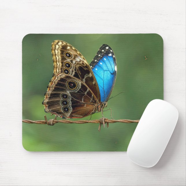 Common Morpho Butterfly on Barbed Wire Mouse Pad (With Mouse)