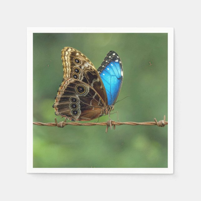 Common Morpho Butterfly on Barbed Wire Napkins (Front)