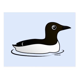 Common Murre (swim) Postcard