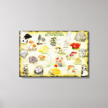 Common Names Canvas 30x20 Mushrooms