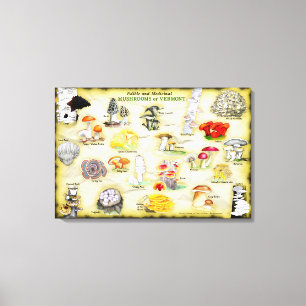 Common Names Canvas 30x20 Mushrooms of Vermont