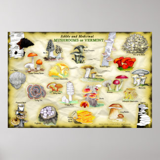 Common Names Poster Mushrooms of Vermont