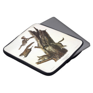 Common or Southern Flying Squirrel, or The Assapan Laptop Sleeve