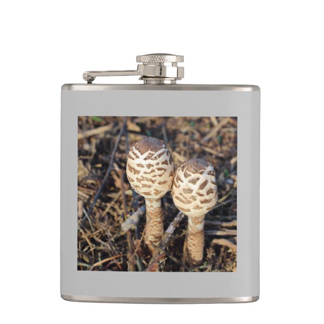 Common parasol mushroom flask (Front)
