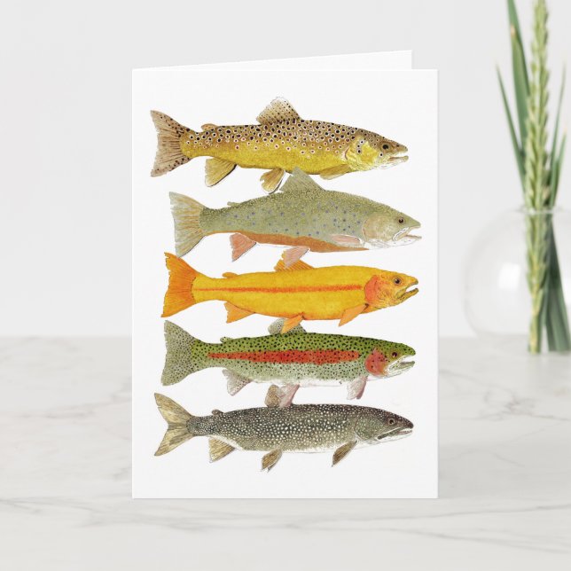 Common Pennsylvania Trout Card (Front)