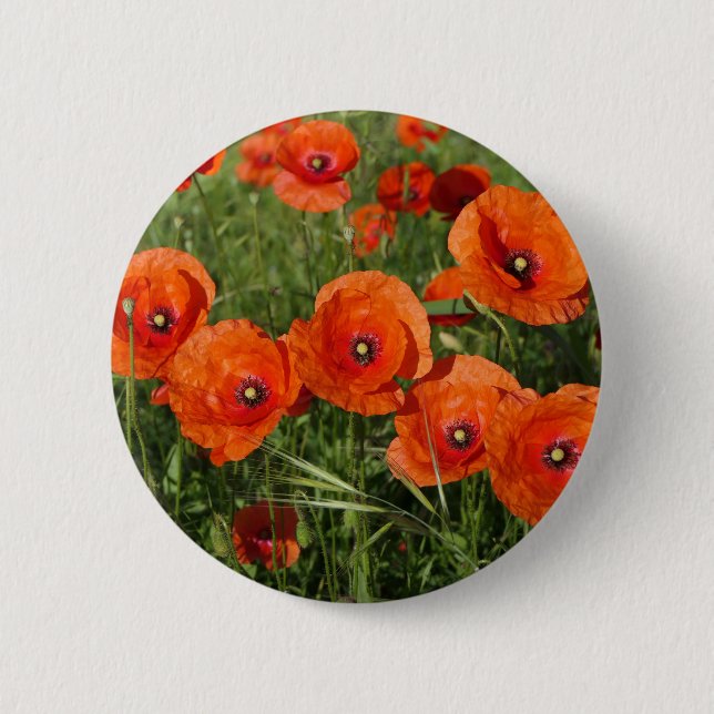 Common Poppies  Button (Front)