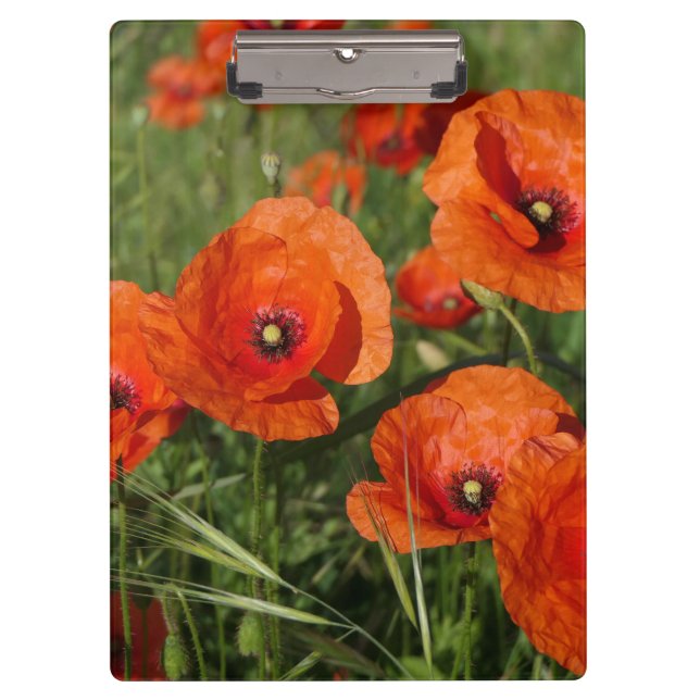 Common Poppies  Clipboard (Front)