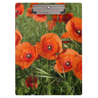 Common Poppies Clipboard