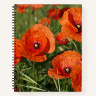 Common Poppies Notebook