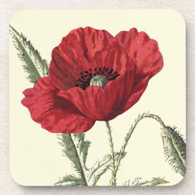 "Common Poppy" Botanical Illustration Beverage Coaster (Front)