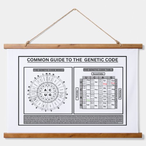 Common quide to the genetic code hanging tapestry