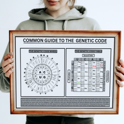 Common quide to the genetic code poster