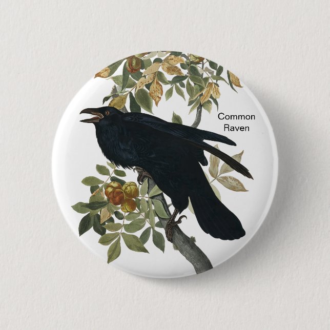 Common Raven by Audubon, Black Crow, Birdwatcher Button (Front)