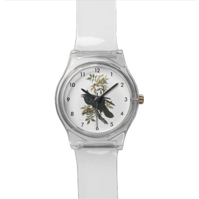 Common Raven by Audubon Wrist Watch (Close Up)