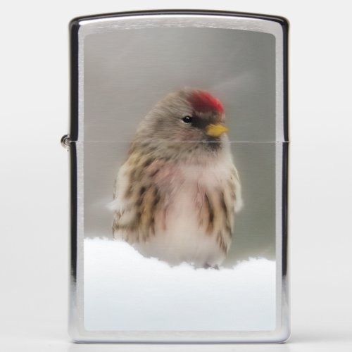 Common Redpoll in Snow _ Original Photograph Zippo Lighter