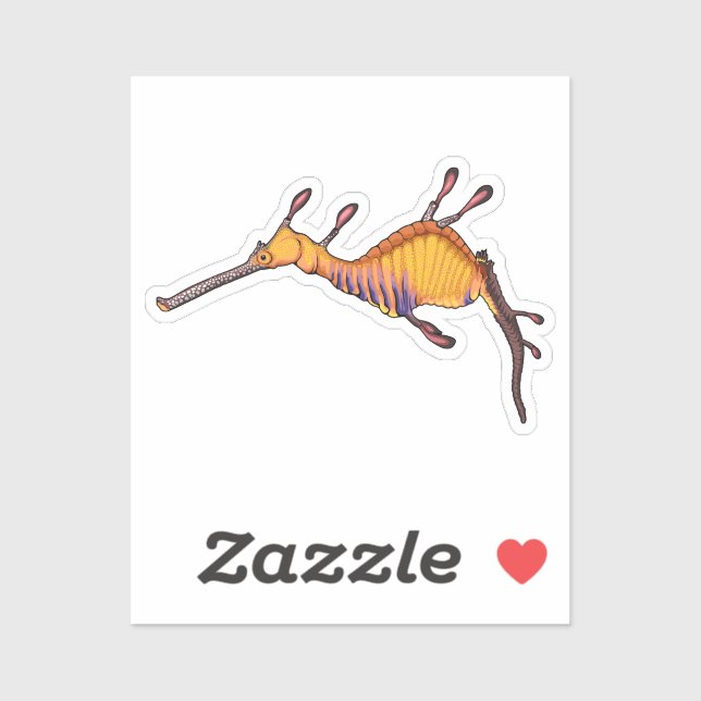 Common sea dragon vector illustration sticker (Sheet)
