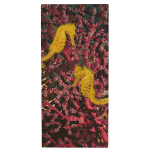 Common Sea Horse Hippocampus Taeniopterus Wood Flash Drive