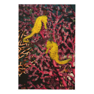 Common Sea Horse Hippocampus Taeniopterus Wood Wall Decor