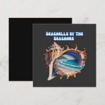 Common Seashell Colors