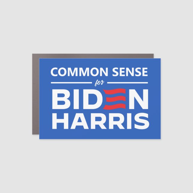 Common Sense for Biden Harris Car Magnet (Front)
