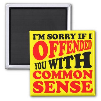 Common Sense Offended You Funny Fridge Magnet