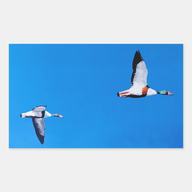 Common Shelducks Rectangular Sticker (Front)