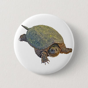 Common Snapping Turtle - Chelydra serpentina Button