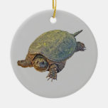 Common Snapping Turtle - Chelydra Serpentina Ceramic Ornament at Zazzle