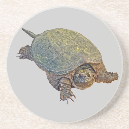 Common Snapping Turtle _ Chelydra serpentina Drink Coaster