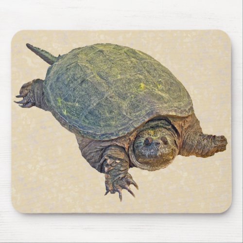 Common Snapping Turtle _ Chelydra serpentina Mouse Pad