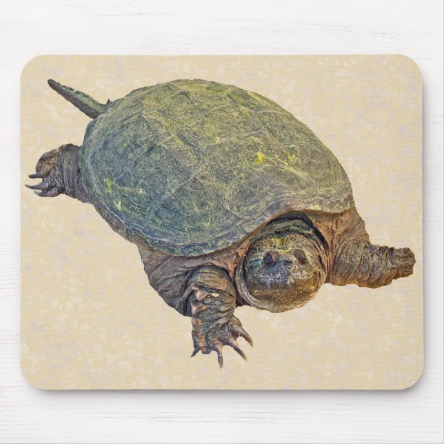 Common Snapping Turtle - Chelydra serpentina Mouse Pad (Front)