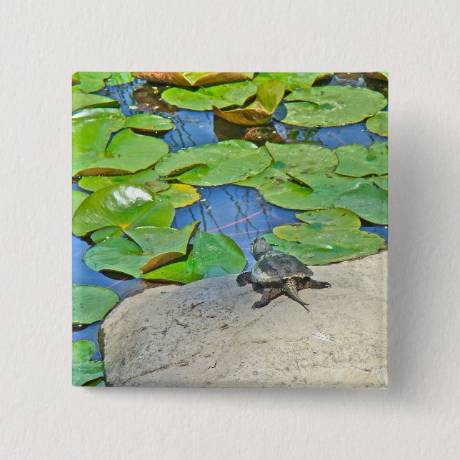 Common Snapping Turtle - Chelydra serpentina Pinback Button (Front)