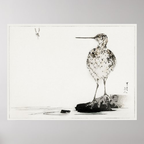 Common Snipe Vintage Japanese Illustration Poster