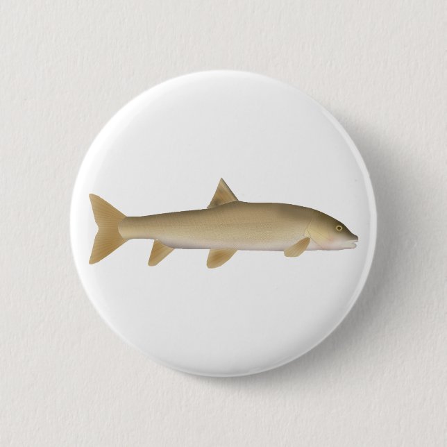 Common Snowtrout Button (Front)