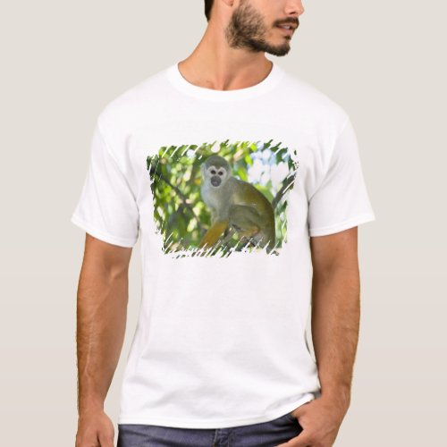 Common Squirrel Monkey Saimiri sciureus Rio T_Shirt