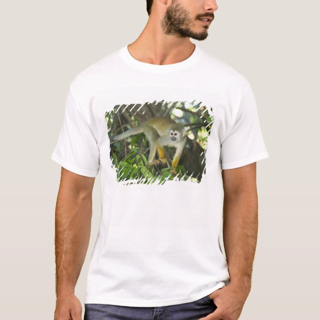 Common Squirrel Monkey, (Saimiri sciureus), Rio T-Shirt (Front)