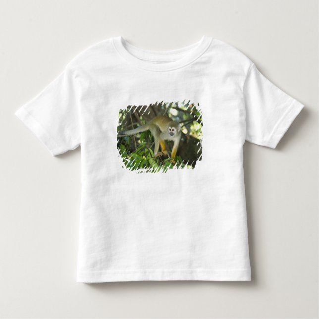 Common Squirrel Monkey, (Saimiri sciureus), Rio Toddler T-shirt (Front)